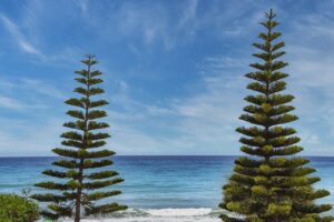 roarbiznes financial infoguide by riproar