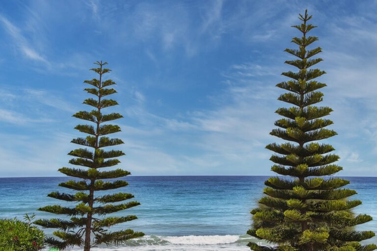 roarbiznes financial infoguide by riproar