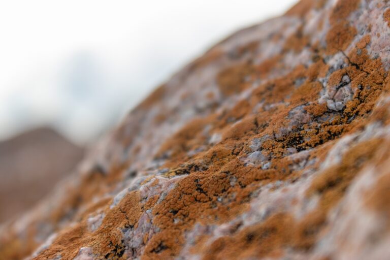 shoulder length layered hair for thin hair