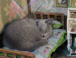 aggr8finance business news by aggreg8