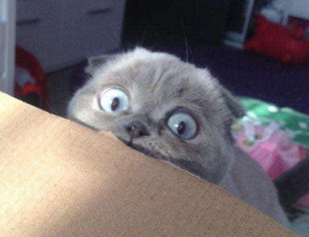 how to fix freezes in the innerlifthunt game