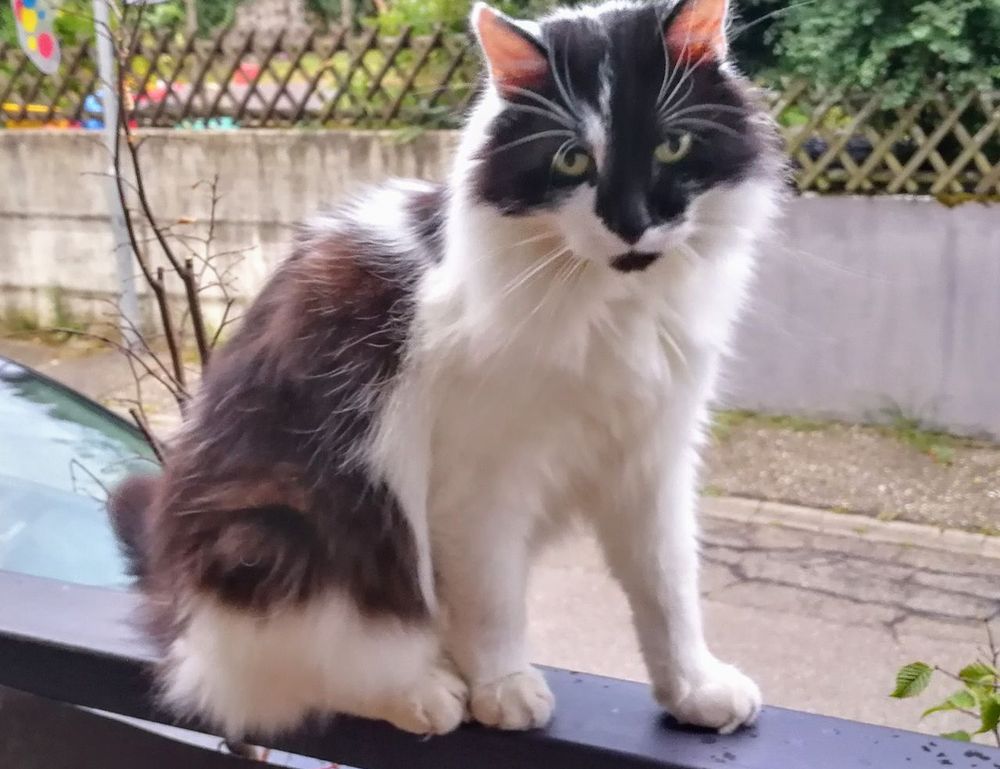 how to pronounce zethazinco island