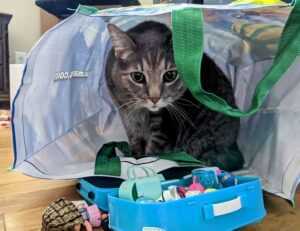 investing news aggr8finance