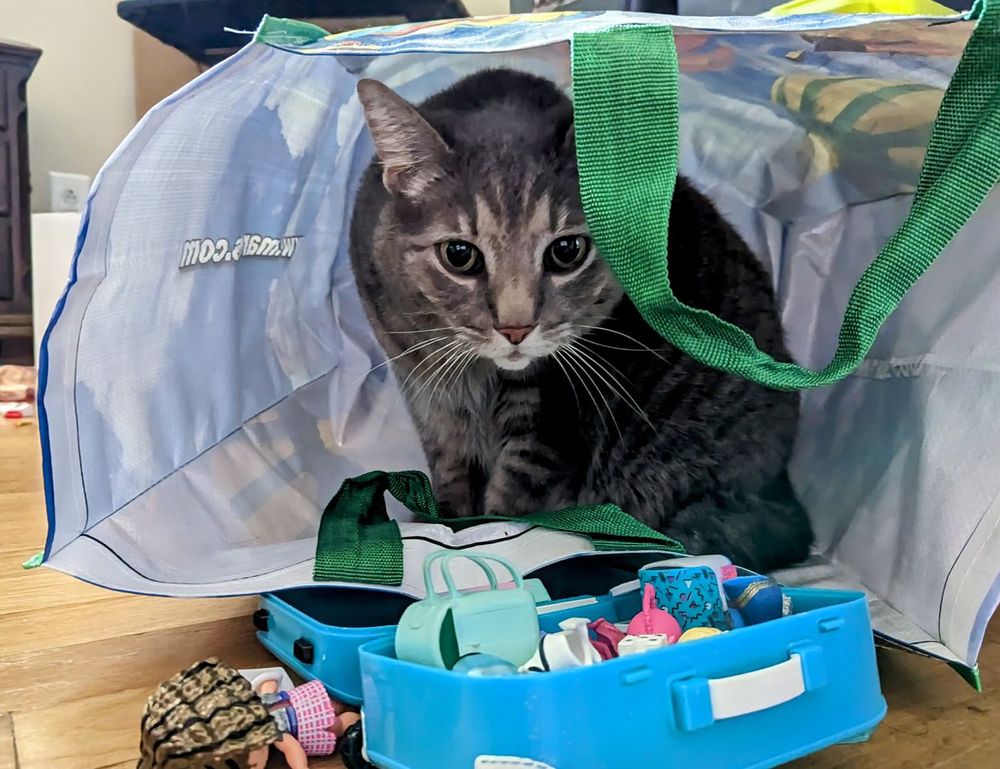 investing news aggr8finance