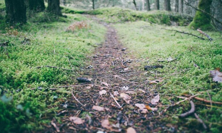 message code dropbox 8737.idj.029.22