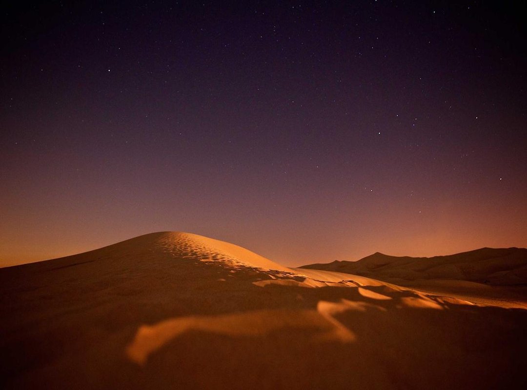 Navigating Fame: Public Image and Social Media Presence