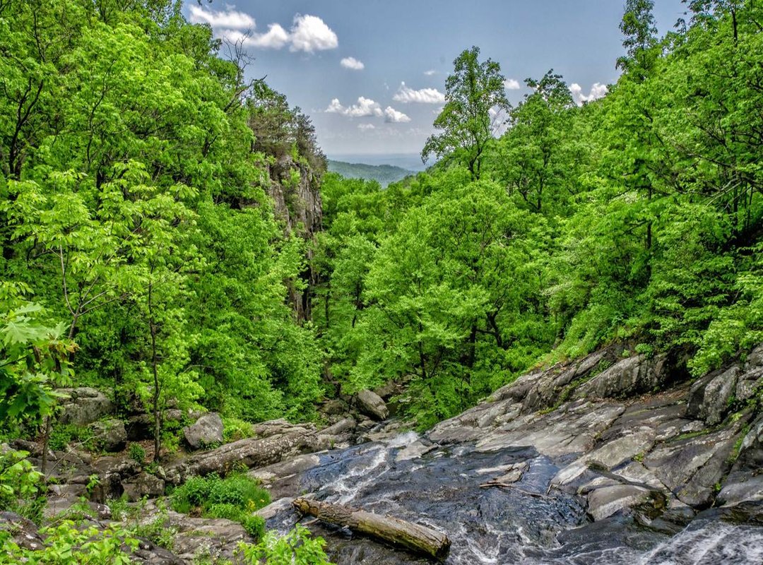 Build Methods Compared: DIY vs. Kit vs. Professional Builder