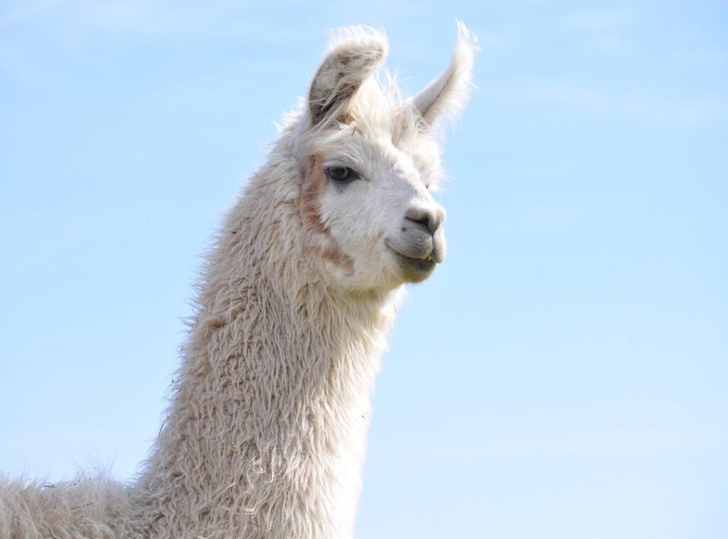 experimento abigail fotos