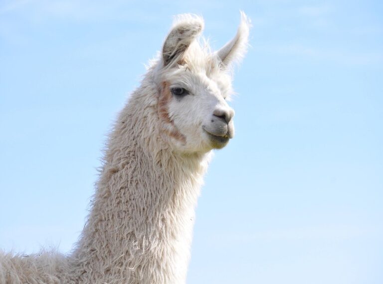 experimento abigail fotos