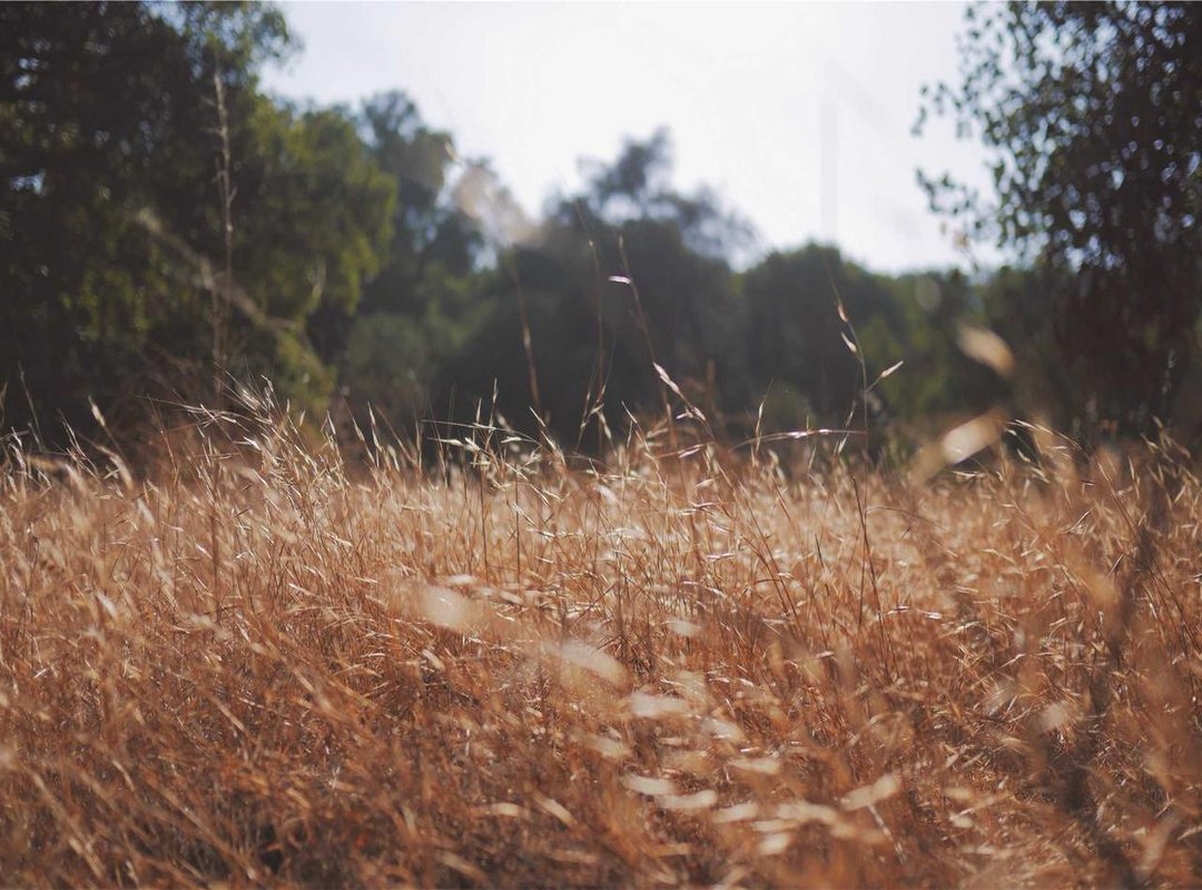 Peel-and-Stick vs. Traditional: Which Is Right for You?