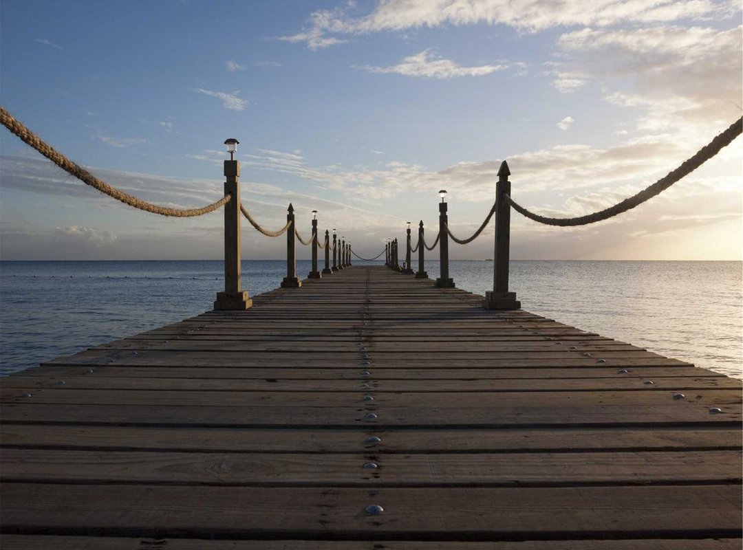 The Sensory Experience: Comparing Taste, Smoothness, and Aroma