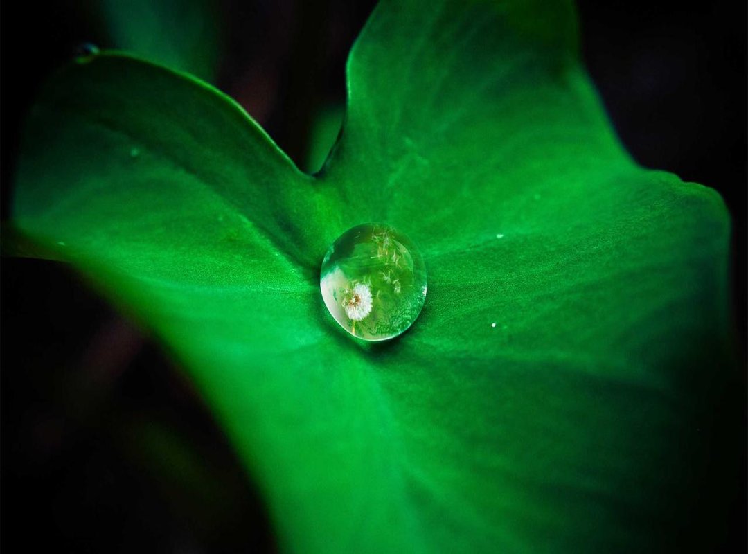 Beyond the Towel: 4 More Hacks for Faster Drying