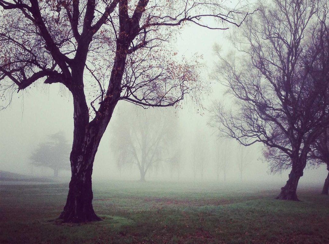 Fueling the Performance: The Diet That Reveals Abdominal Definition